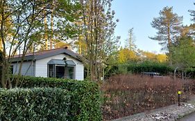 Vakantie Chalet Utrechtse Heuvelrug